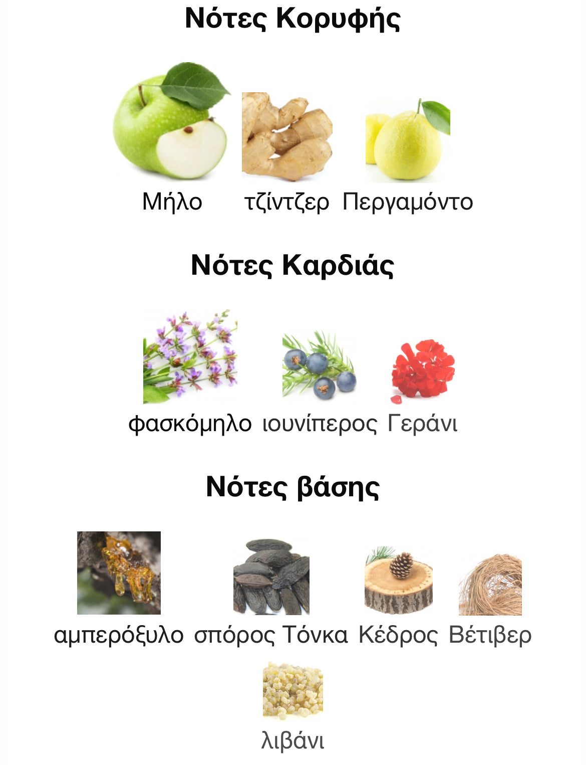 5ml/8ml decant - YSL Y Edp