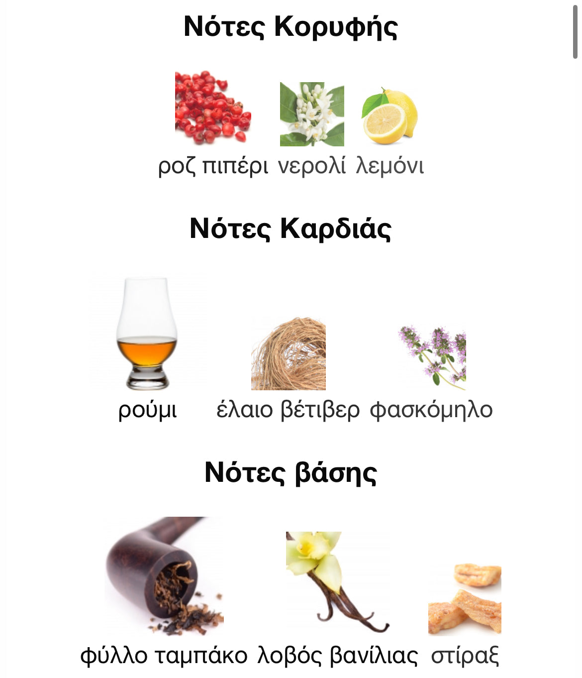 3ml/5ml/8ml decant - Maison Margiela REPLICA Jazz Club