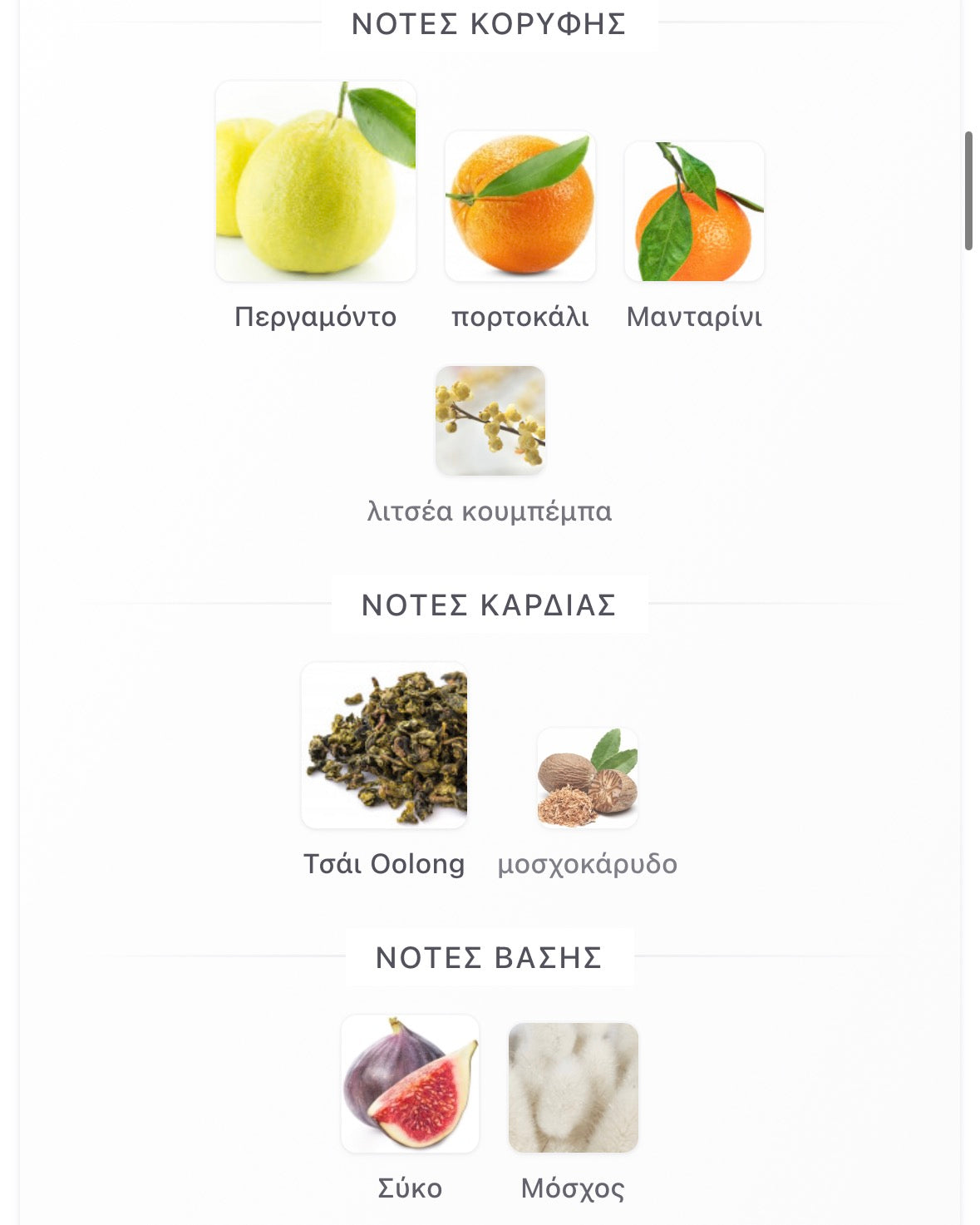 3ml/5ml/8ml decant - Nishane Wulóng Chá