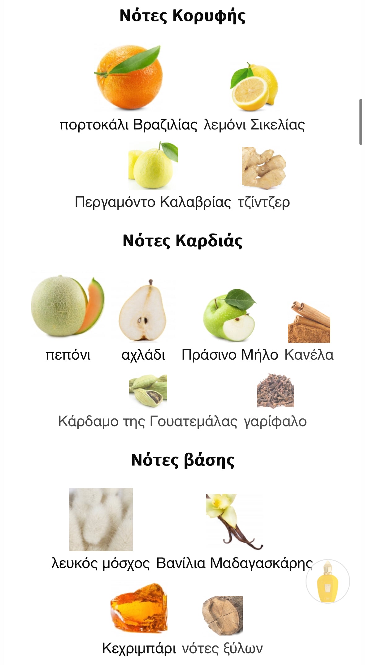 3ml/5ml8ml decant - Erba Gold