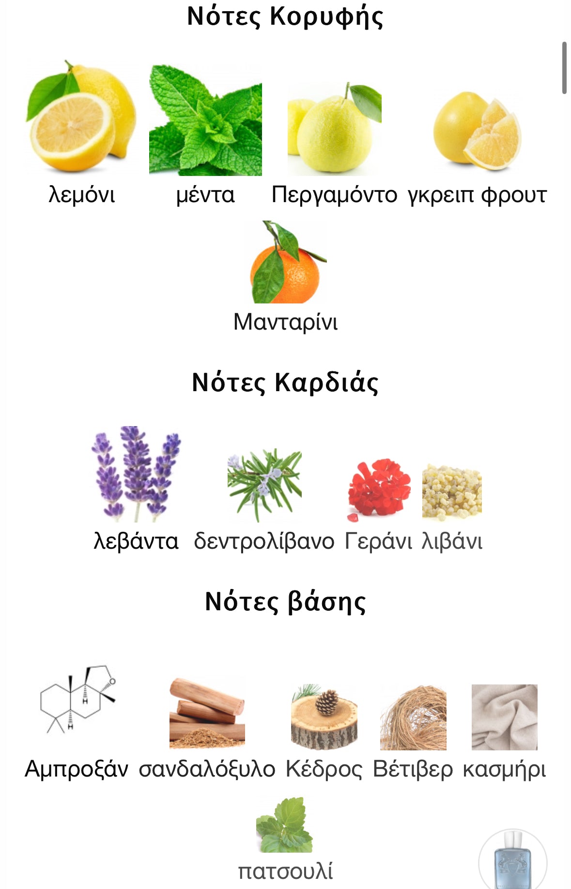 3ml/5ml/8ml decant - PDM Sedley