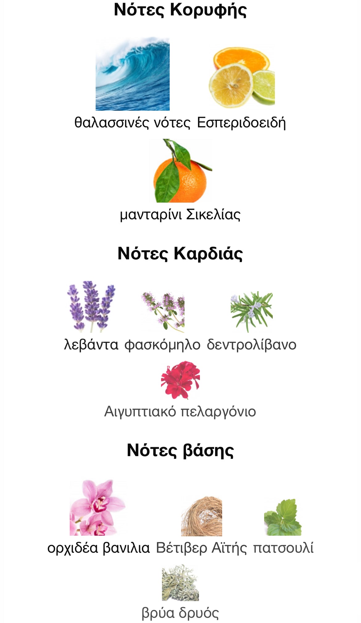 5ml decant - Missoni Wave