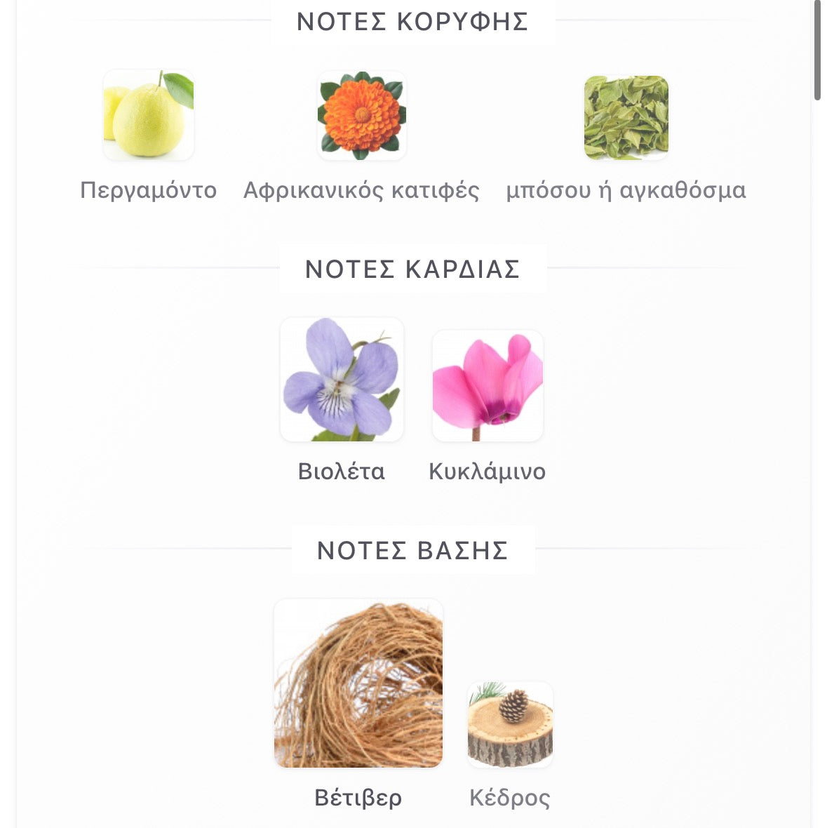 3ml/5ml/8ml decant - Byredo Bal d' Afrique