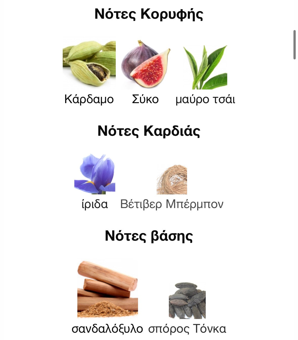 3ml/5ml/8ml decant - BDK Gris Charnel