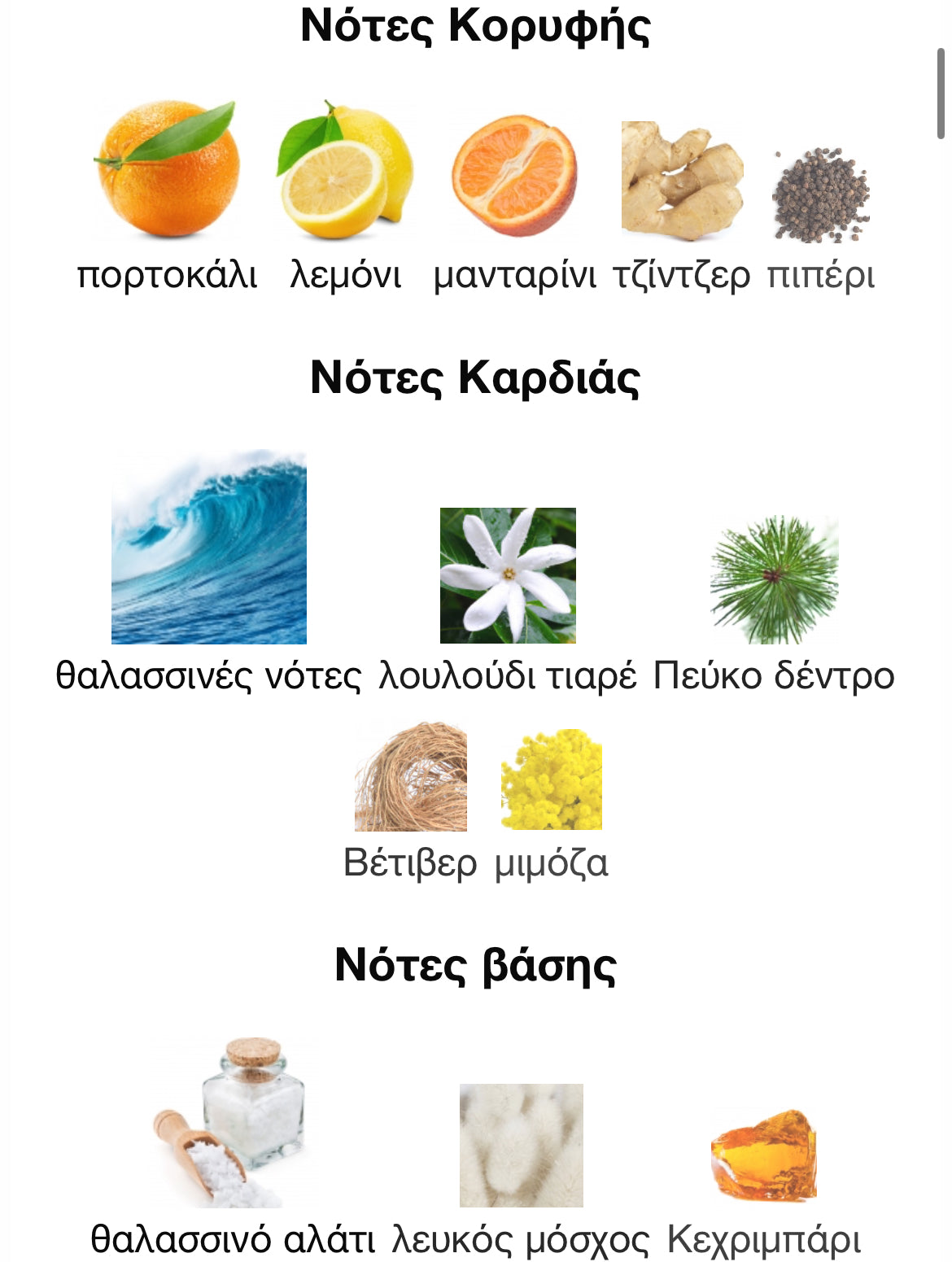 3ml/5ml/8ml decant - Mancera French Riviera