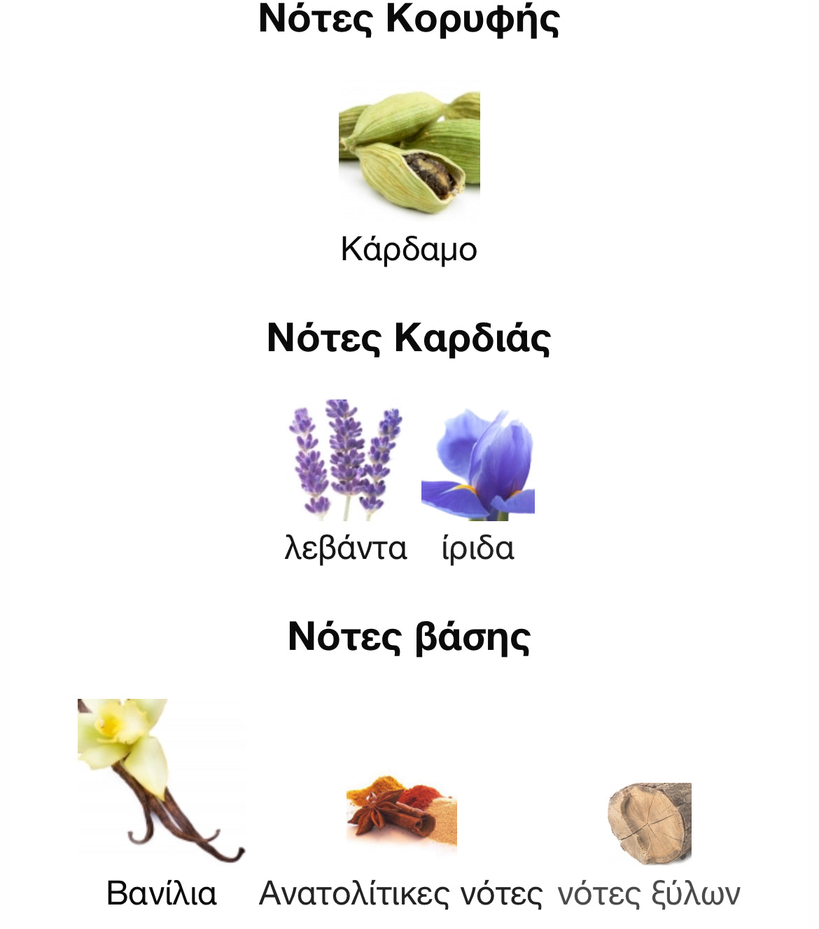 5ml/8ml decant - JPG Le Male Le Parfum