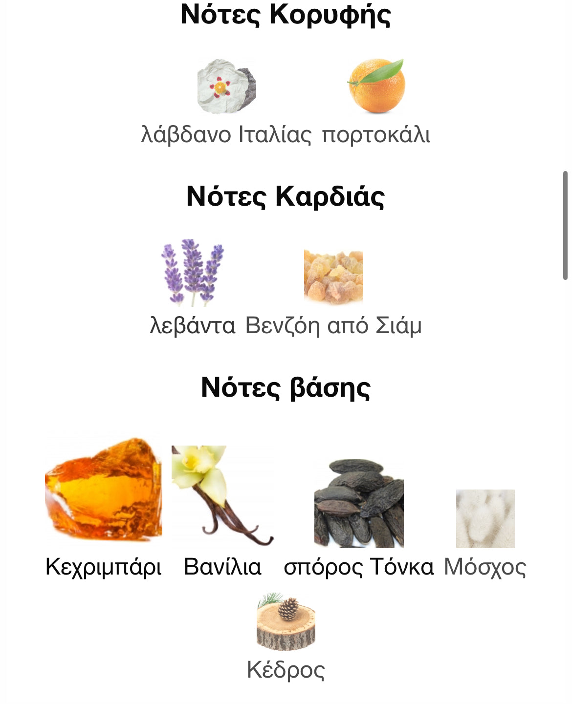 3ml/5ml/8ml decant - MFK Grand Soir