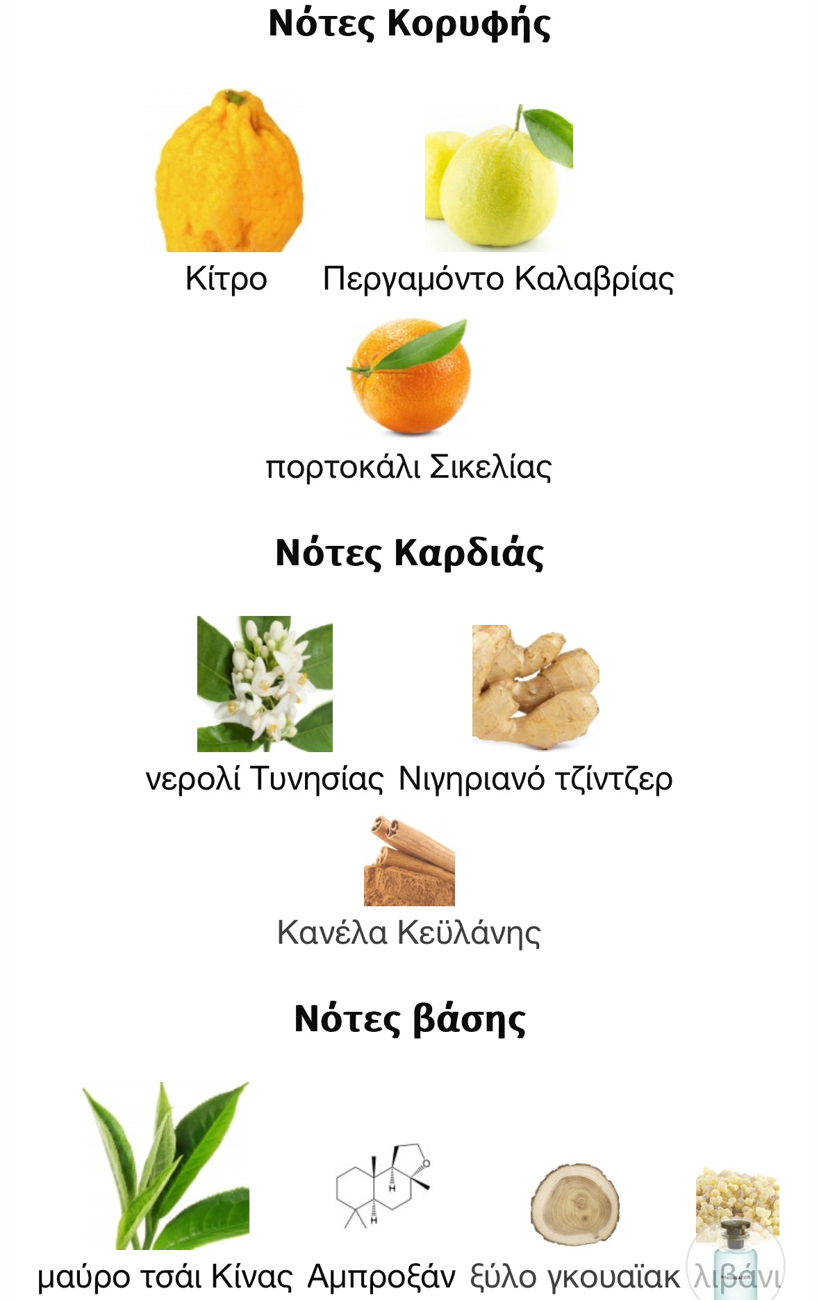 3ml/5ml/8ml decant - Ginger Tea*