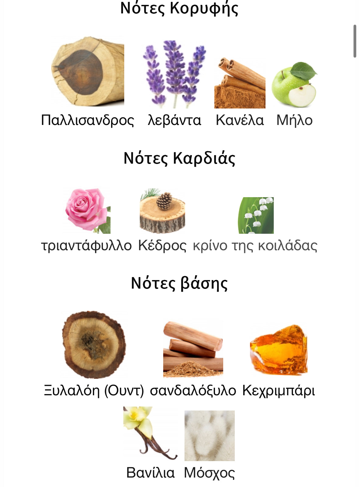 3ml/5ml/8ml decant - Xerjoff Alexandria II