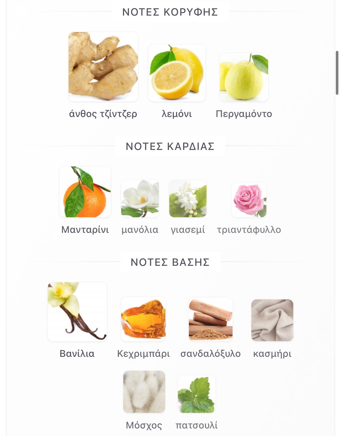 3ml/5ml/8ml decant - Goldfield & Banks Ingenious Ginger