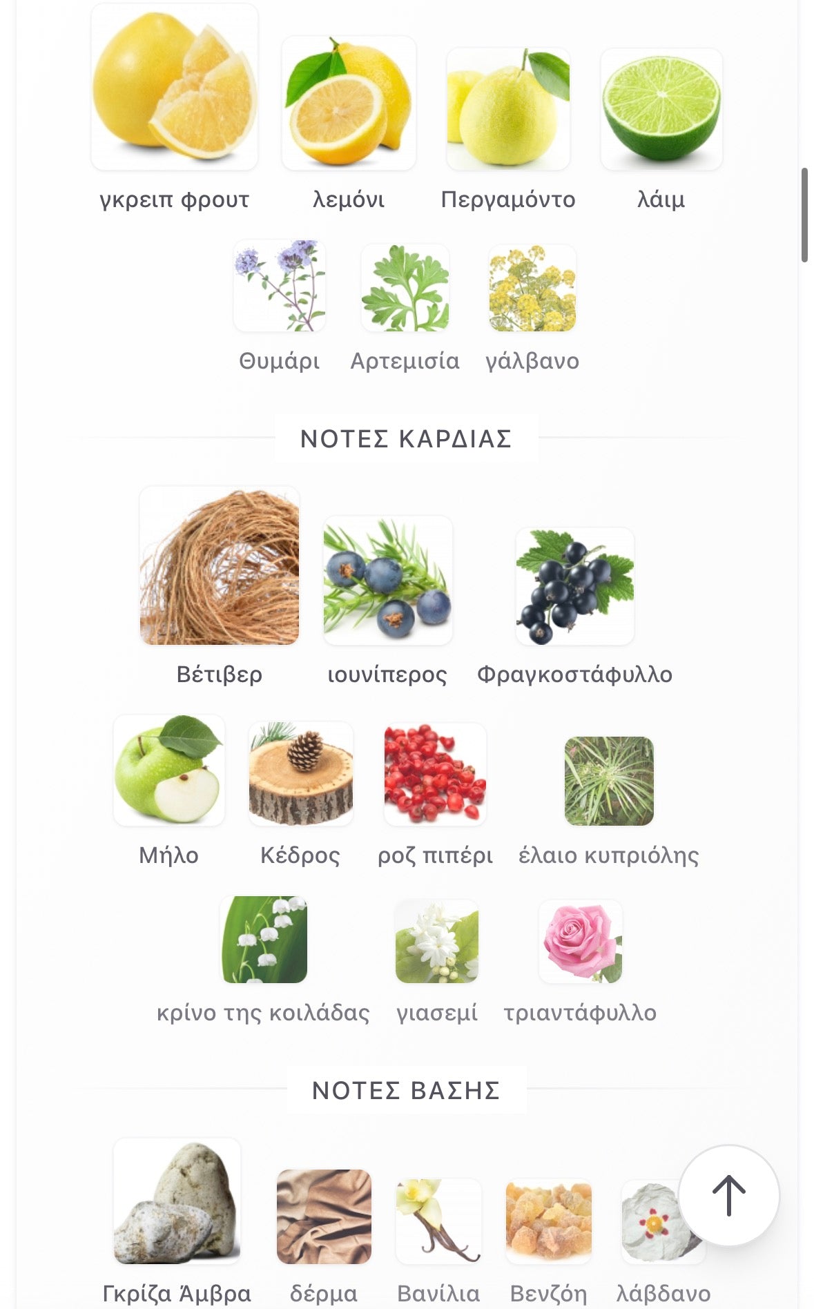 3ml/5ml/8ml decant - Roja Elysium Parfum