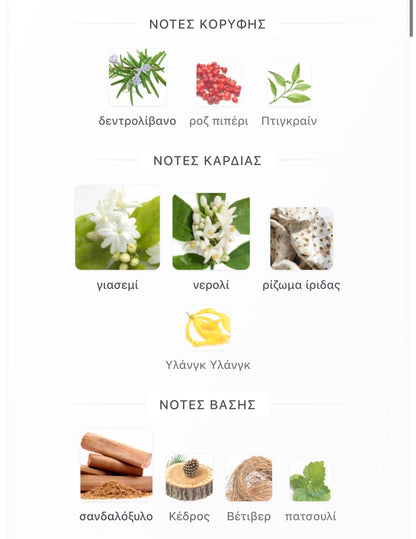 3ml/5ml/8ml decant - Amouage Reflection Man