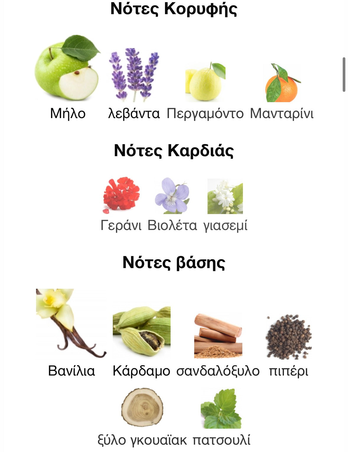 3ml/5ml/8ml decant - PDM Layton