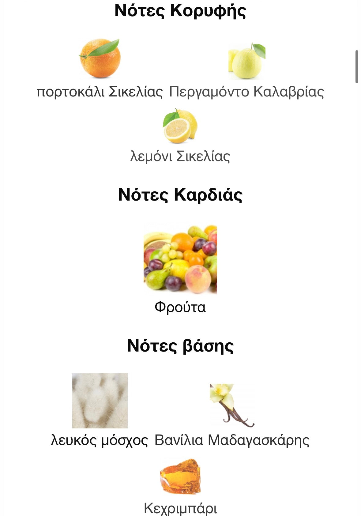 3ml/5ml/8ml decant - Xerjoff Erba Pura