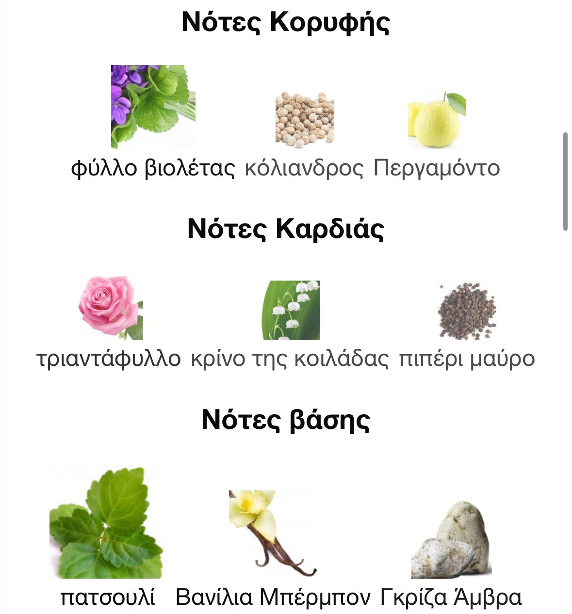 3ml/5ml/8ml decant - YSL Tuxedo