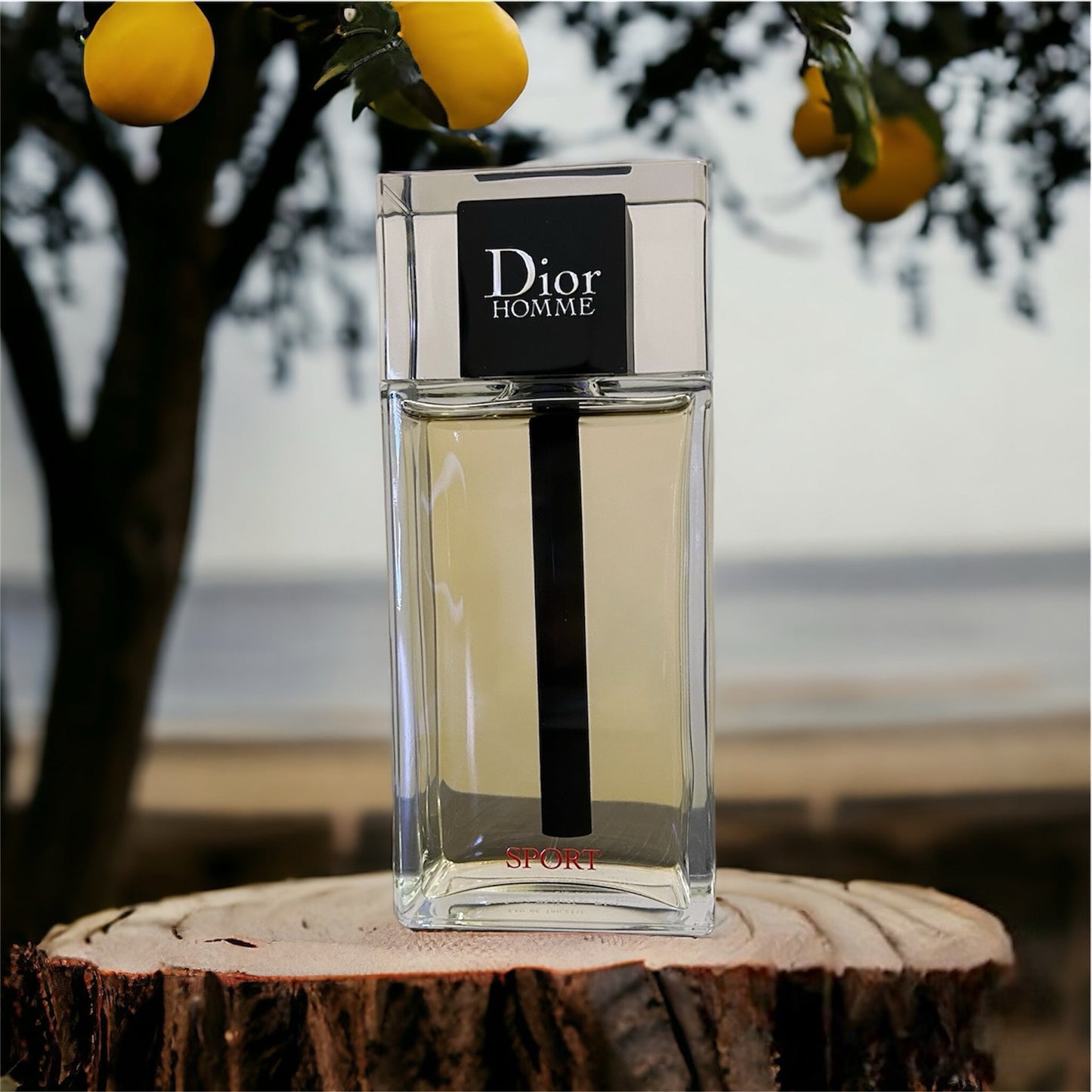 5ml decant - Dior Homme Sport